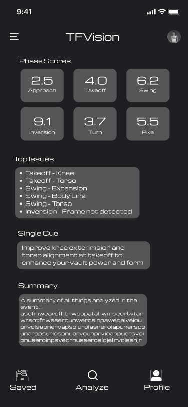 TFVision detailed phase scoring dashboard