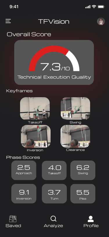 TFVision analysis score dashboard